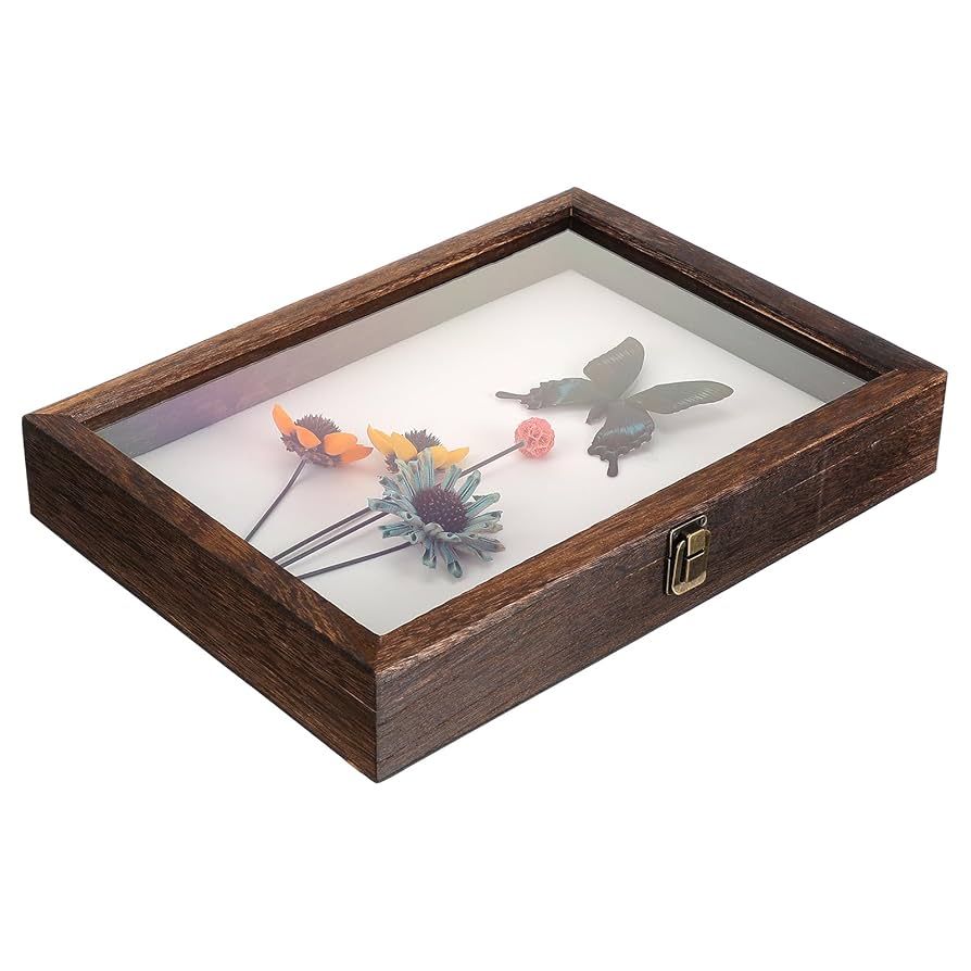 蝶々標本52頭　木製額(ガラス) 約21cm x 27cm ガラスと木製の標本箱 約30cm 蝶々標本 23頭 木製額(ガラス) 約